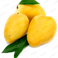 juice nectar, mango, alphonso mango png