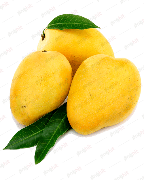 juice nectar, mango, alphonso mango png
