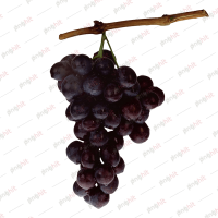 pnghit, black grape, grapes, grape fruit, grape png