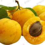 pnghit, fruit, apricot, nectarine, apricot png
