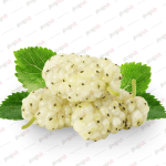 pnghit mulberry, berry, white mulberry, mulberry fruit