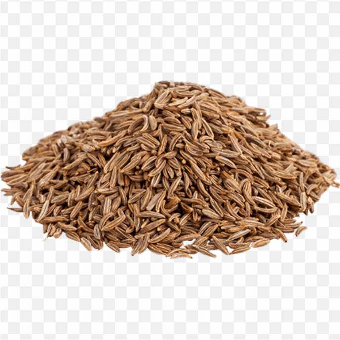 Caraway Cumin Herb Flavica Spices Coriander PNG