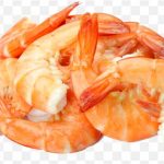 Caridea Scampi Prawns Seafood Shrimp Bologna Sausage PNG