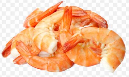 Caridea Scampi Prawns Seafood Shrimp Bologna Sausage PNG