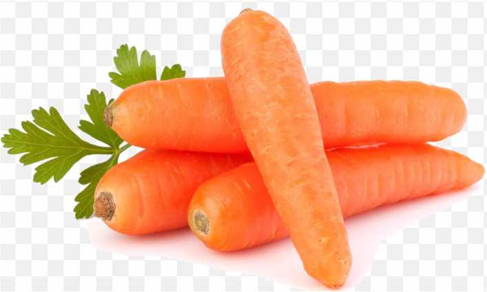 Carrot Organic Food Vegetable Seed PNG