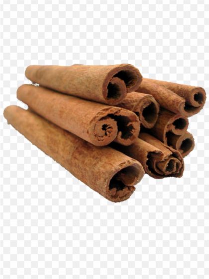 Cinnamon Bark2 PNG