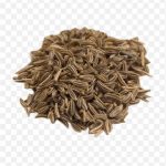 pnghit-dill-oil-seed-cumin-spice-seeds