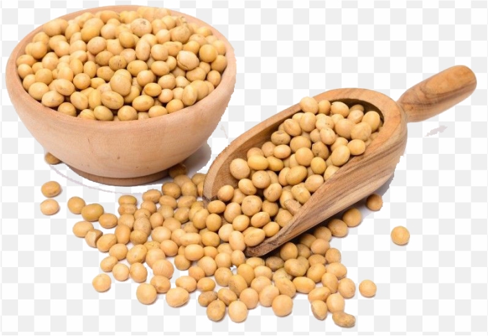 pnghit-genetically-modified-soybean-organic-food-legumes-soybean-oil