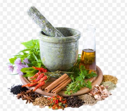 pnghit herbalism-traditional-medicine-alternative-health