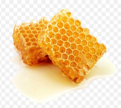 Honey Bee Honeycomb Comb Honey Honey PNG