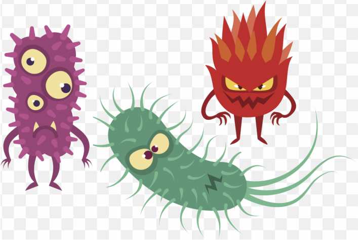 Illustration Bacteria Clip Art Vector Graphics Sto Gut Microbes The Good The Bad And The Ugly PNG