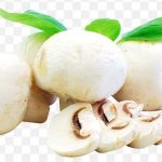 Ingredient Recipe Mushroom Food Vegetable Fresh Mushrooms PNG