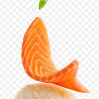 Japanese Cuisine Sushi Smoked Salmon Japan Salmon PNG