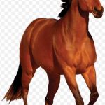 Mustang Bay Running Clip Art Horse Png Transparent Image PNG