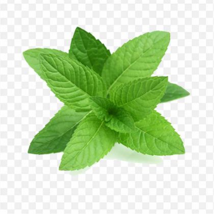 pnghit-peppermint-mentha-spicata-herb-mint-leaf-mint-candy