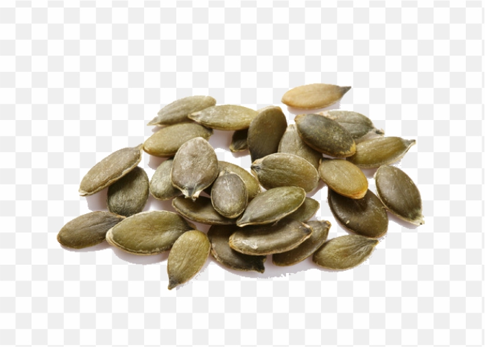 pnghit-pumpkin-seed-oil-berghofer-kxfcrbiskernprodukte-kg-south-melon-seeds
