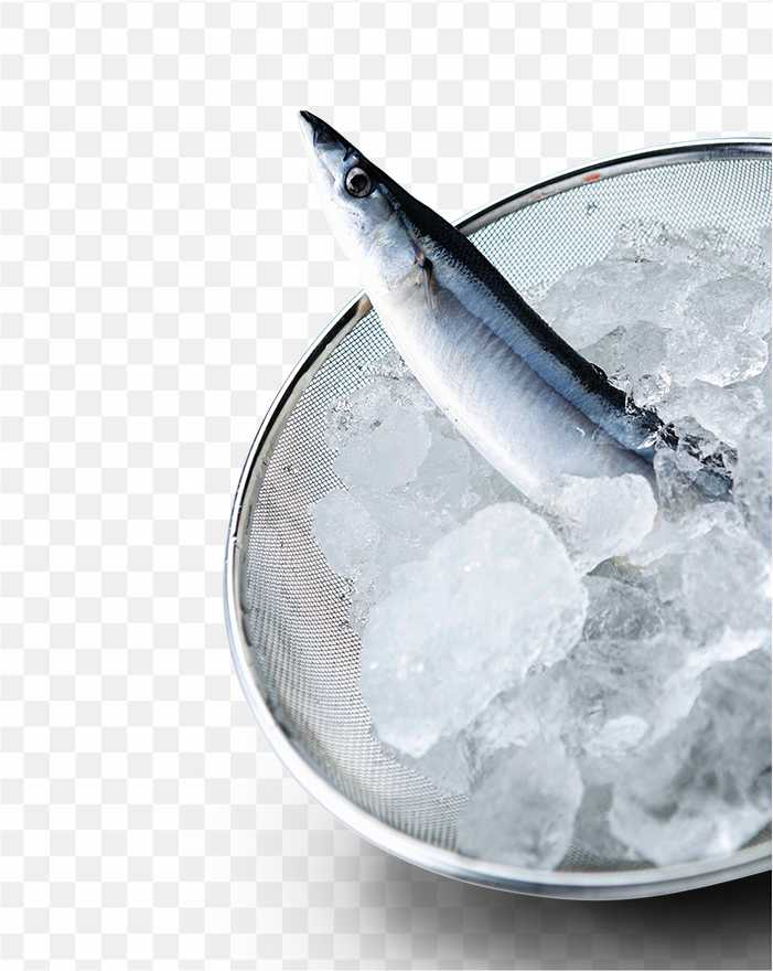 Seafood Seawater Frozen Fish PNG
