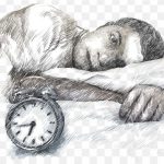 Bear Figure Drawing Sketch Sleep Dketch PNG