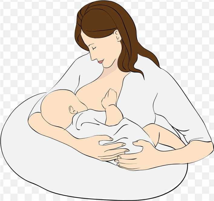 Breast Feeding PNG