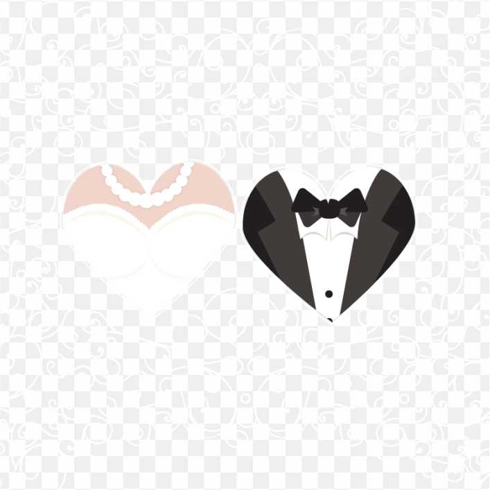Bride And Groom Marriage PNG