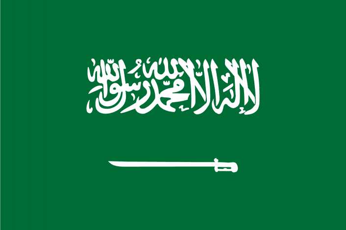 Saudi Arabia Flag Sa PNG
