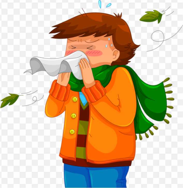 Sneeze Common Cold Rhinorrhea Cough Cartoon Sneezing PNG