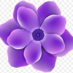 Purple Petaled Flower, Purple Flower, Purple, Herbaceous Plant, Violet PNG