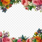 Flower Pixabay, Beautiful Flowers Border, Pink And Yellow Flowers İllustration, Border, Frame, Other PNG