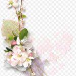 White And Pink Flowers, Decoupage Flowers, Flowers İn Bunches, Flower Arranging, Branch, Artificial Flower PNG