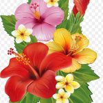 Hibiscus Flowers İllustration, Flower Bouquet Decorative Arts, Tropical Flower, Herbaceous Plant, Blue, Flower Arranging PNG