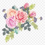 Assorted Flowers İllustration, Watercolor Painting Flower Rose, Watercolor Flower Wreath, Flower Arranging, Artificial Flower, Color PNG