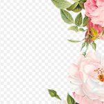 Pink Flowers Wedding İnvitation, Pink Flowers, Pink And White Rose Flower Arrangement, Watercolor Painting, Flower Arranging, Branch PNG