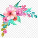 las flores, las flores, decoración, clipart de flores png