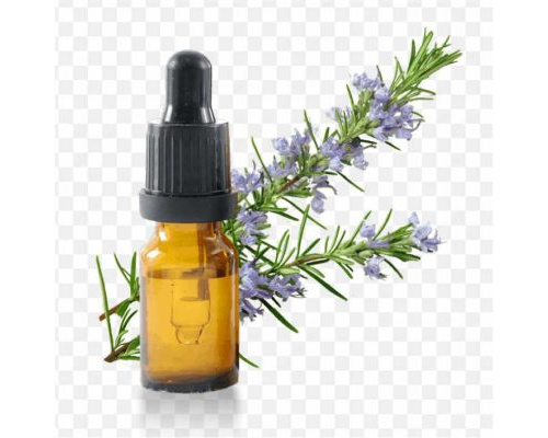 pnghit-essential-oil-rosemary-vegetable-oil-herb