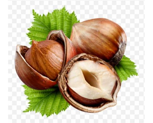pnghit-hazelnut-nuts-common-hazel-fruit