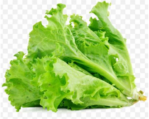 pnghit-lettuce-sandwich-butterhead-lettuce-vegetable-sala-lettuce