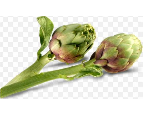Artichoke Carciofi Alla Romana Carciofi Alla Giudi PNG