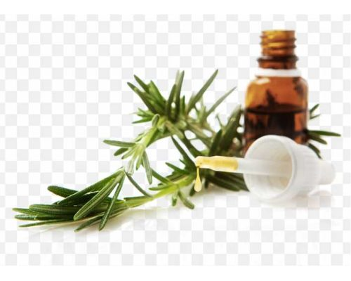 pnghit-essential-oil-recipe-lavender-oil-food-essential-oil