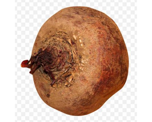 Vegetable Icon Beatroot PNG