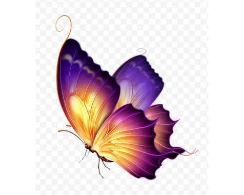 butterfly color purple, clip art, purple butterfly png