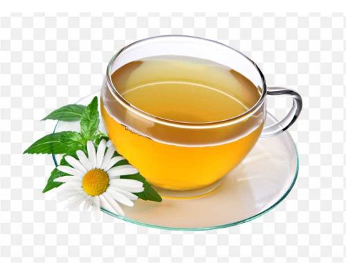 pnghit-green-tea-herbal-tea-drink-tea-png-pic