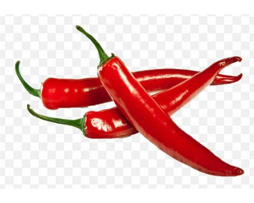 pnghit-chutney-chili-pepper-indian-cuisine-chili-powder-s-red-chilli