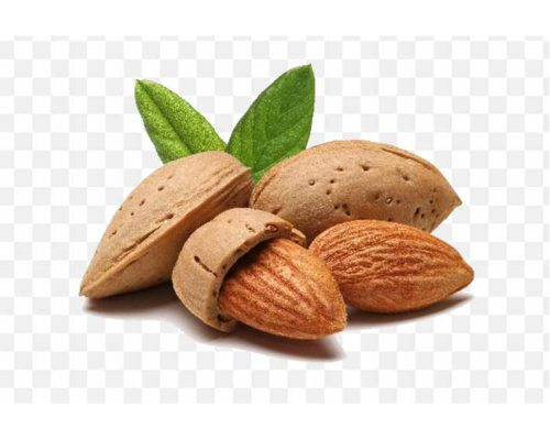pnghit-almond-oil-carrier-oil-linoleic-acid-almond-png-transparent-images Almonds shelled almonds PNG
