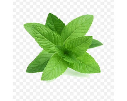 pnghit-peppermint-mentha-spicata-herb-mint-leaf-mint-candy