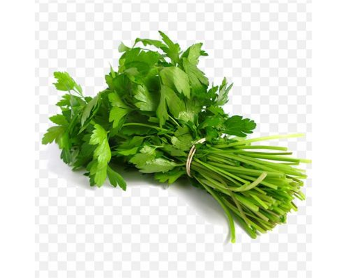 pnghit-Parsley PNG coriander-indian-cuisine-thai-cuisine-herb-leaf-ve