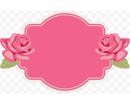 pink rose, pink rose frame, frame, frame design, rose frame background