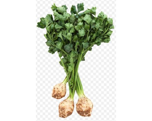 Celeriac Vegetable Fresh Celery Root With Leaves PNG
