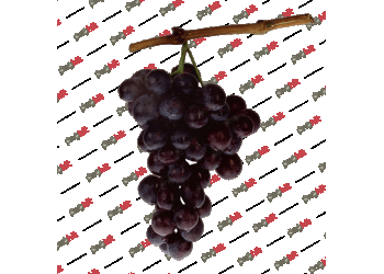 Black grape, grape, grape fruit, grape png